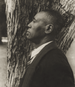 “Finding Horace Pippin”